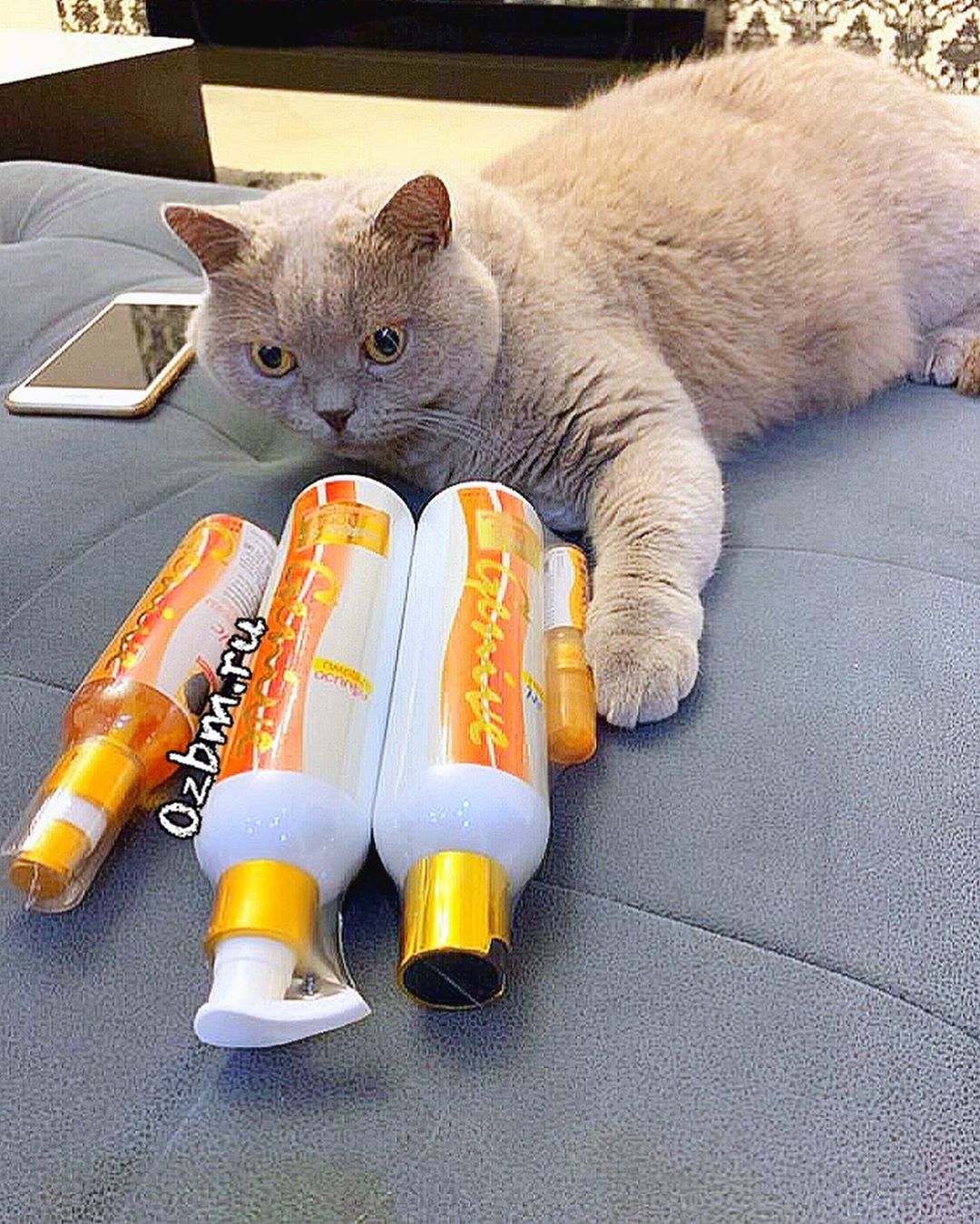 Тайский комплекс для роста волос - для женщин шампунь и кондиционер GENIVE по 265 мл. тайская косметика ozbm.ru